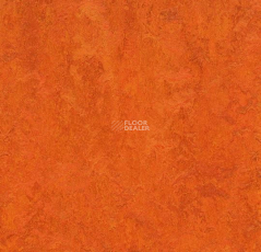 Forbo Marmoleum Marbled Fresco 3126-312635 Kyoto фото 1 | FLOORDEALER